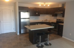 2 bed 2 bath condo. Terwillegar. $1175 Pet Friendly – Edmonton