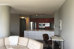 Downtown Executive furnished 2 bed 2 bath Condo, ICON II  $2275/month