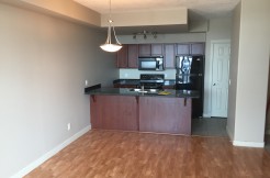 2 bed 2 bath condo Downtown $1649