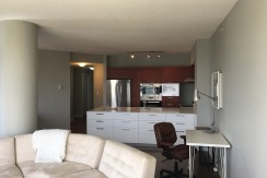 Downtown Executive furnished 2 bed 2 bath Condo, ICON II  $2275/month